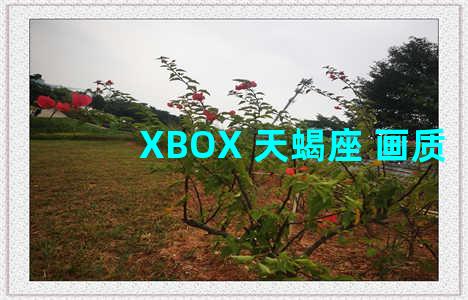 XBOX 天蝎座 画质